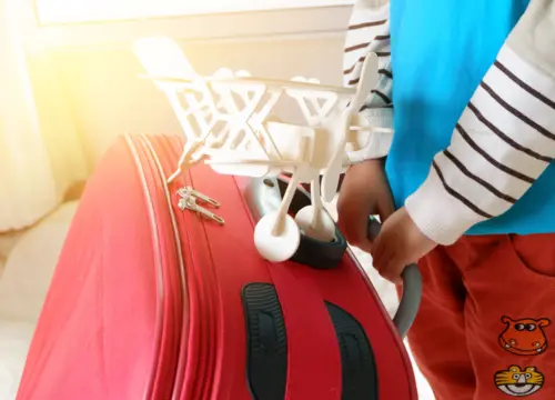 Fully customizable travel packages for holidays, honeymoons, and business trips